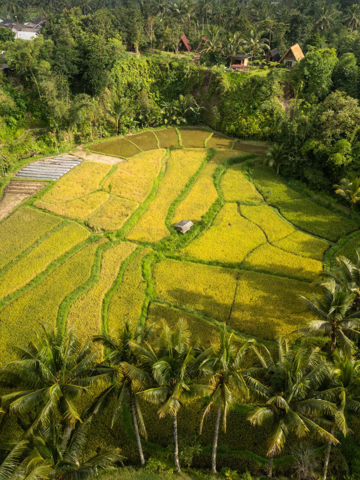 Gading Trans Lombok